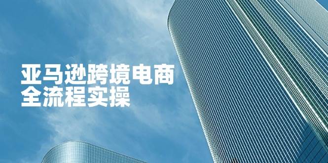 （14252期）亚马逊跨境电商全流程实操，教你从零开始，掌握店铺运营与广告技巧-轻金阁