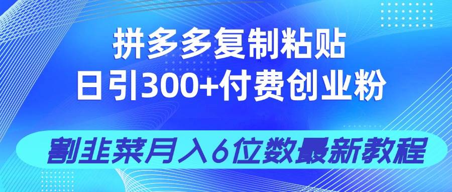 （14232期）拼多多复制粘贴日引300+付费创业粉，割韭菜月入6位数最新教程！-轻金阁