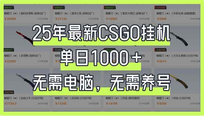 （14178期）25年最新CSGO挂机系统，单日1000+，无需电脑，无需养号，0基础可上手-轻金阁