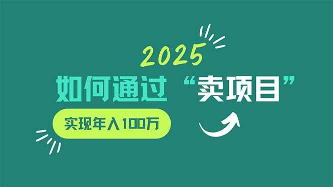 （14176期）2025年如何通过“卖项目”实现年入100万-轻金阁