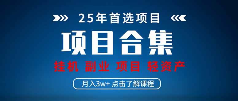 （14175期）2025 实操项目合集 挂机类型 直播类型 轻资产创业类型 课程分享各项目…-轻金阁