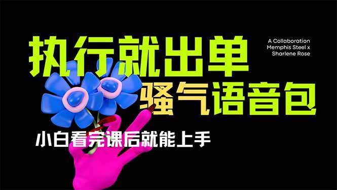 （14170期）爆火全网的开车导航骚气语音包,只要执行就出单，小白看完课程就能实操…-轻金阁