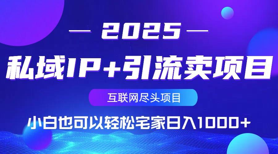 （14151期）私域IP+引流卖项目，小白也可以做到轻松宅家日入1000+-轻金阁