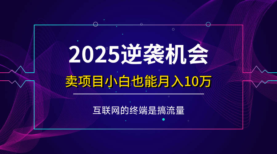 （14122期）项目标题：2025逆袭机会，卖项目小白也能轻松月入10万+-轻金阁