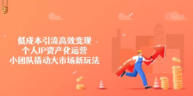 低成本引流高效变现，个人IP资产化运营，小团队撬动大市场新玩法-轻金阁