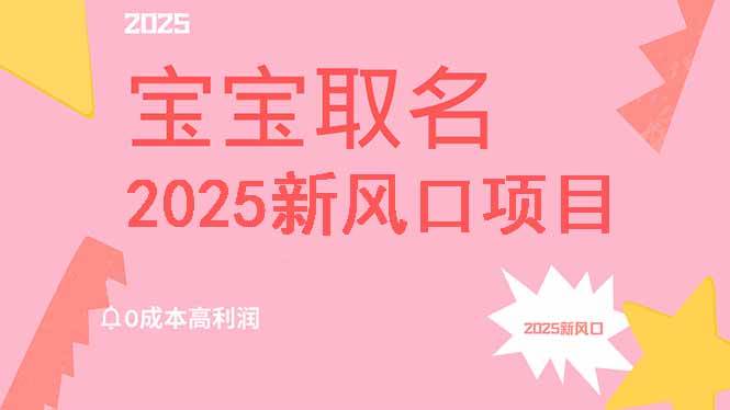 （14593期）2025新风口项目宝宝取名，0成本高利润，附保姆级教程，月入过万不是梦-轻金阁