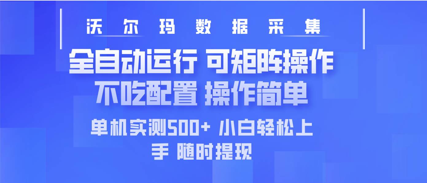 （14560期）最新沃尔玛平台采集 全自动运行 可矩阵单机实测500+ 操作简单-轻金阁