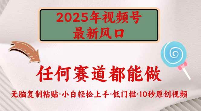 （14453期）2025年视频号新风口，低门槛只需要无脑执行-轻金阁