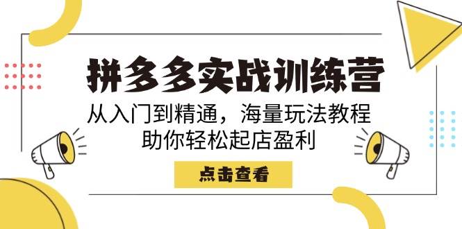 （14392期）拼多多实战训练营，从入门到精通，海量玩法教程，助你轻松起店盈利-轻金阁