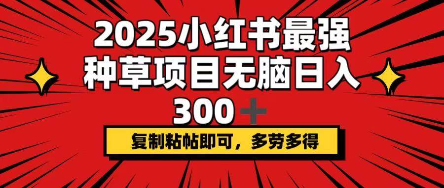 （14375期）2025小红书最强种草项目，无脑日入300+，复制粘帖即可，多劳多得-轻金阁