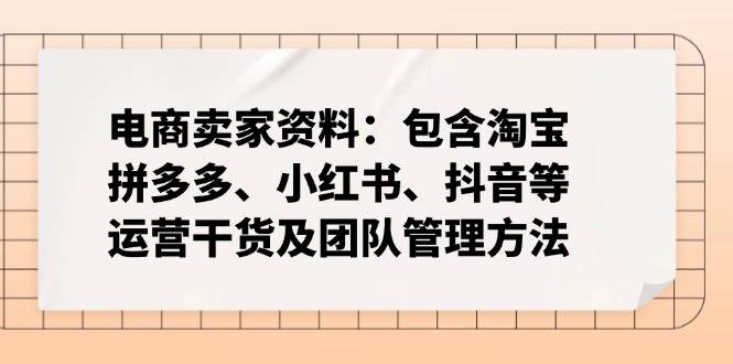 （14354期）电商卖家资料：包含淘宝、拼多多、小红书、抖音等运营干货及团队管理方法-轻金阁