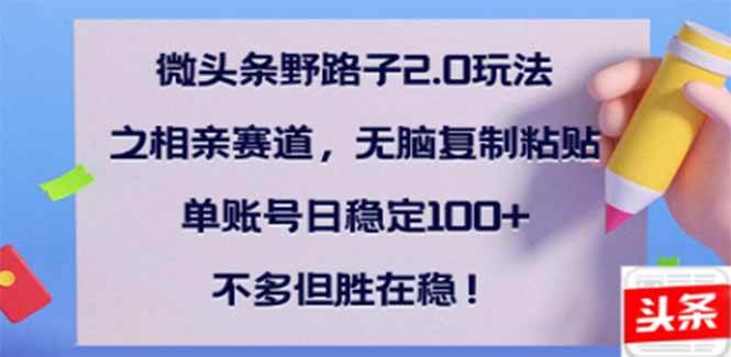 （14334期）微头条野路子2.0玩法之相亲赛道，无脑搬砖复制粘贴，单账号日稳定300+…-轻金阁