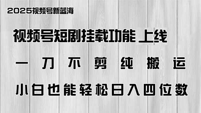 （14310期）视频号短剧挂载功能上线，一刀不剪纯搬运，小白也能轻松日入四位数-轻金阁