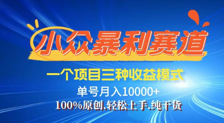 （14300期）【灵狐计划】视频号最新爆火赛道，三种收益模式，0粉新号条条热门原创…-轻金阁