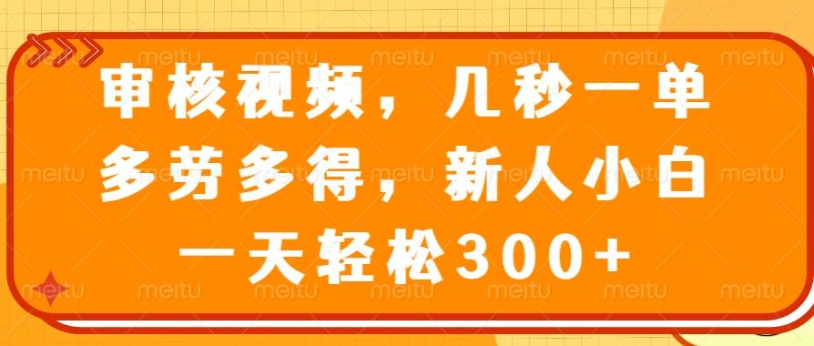 （14294期）审核视频，几秒一单，多劳多得，新人小白一天轻松300+-轻金阁