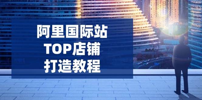 （14269期）阿里国际站TOP店铺打造教程：涵盖平台到高阶，解决运营难题，提升询盘-轻金阁