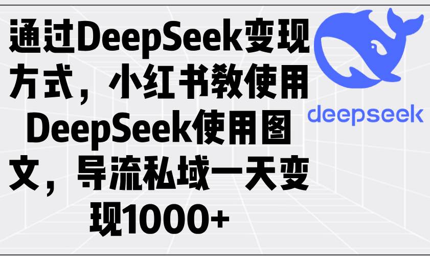 （14179期）通过DeepSeek变现方式，小红书教使用DeepSeek图文，导流私域一天变现1000+-轻金阁