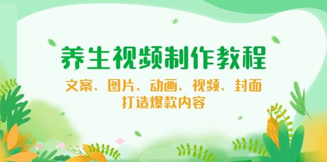 （14163期）养生视频制作教程，文案、图片、动画、视频、封面，打造爆款内容-轻金阁