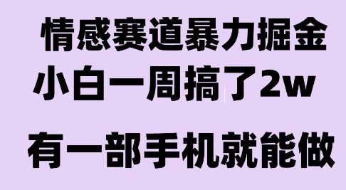 情感暴力掘金项目，新人操作一周挣了2W，长期稳定小白可做【揭秘】-轻金阁