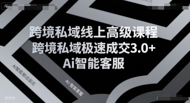 跨境私域线上高级课程，跨境私域极速成交3.0+Ai智能客服-轻金阁