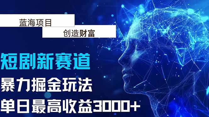 （15438期）抖音新赛道，暴力掘金玩法，单日收益最高3000+-轻金阁