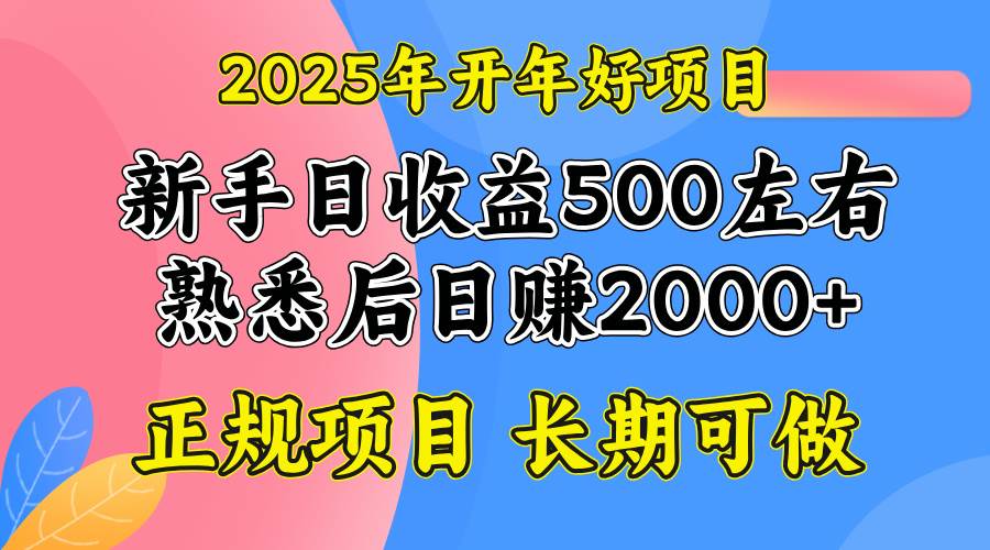 （14076期）2025开年好项目，单号日收益2000左右-轻金阁
