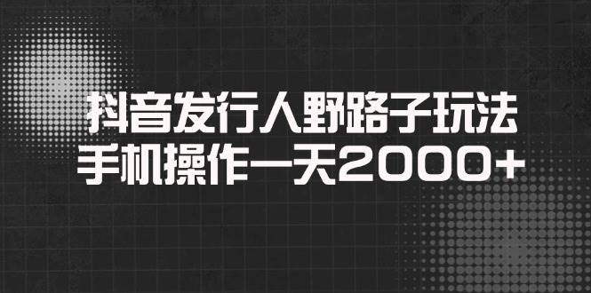 （14068期）抖音发行人野路子玩法，手机操作一天2000+-轻金阁