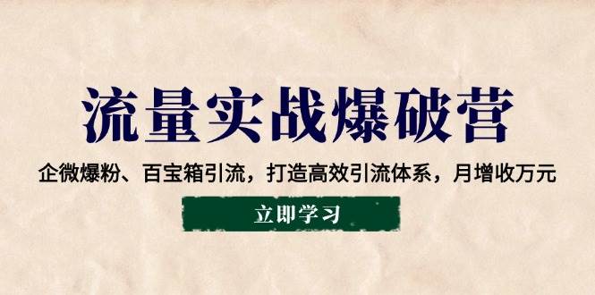 （14039期）流量实战爆破营：企微爆粉、百宝箱引流，打造高效引流体系，月增收万元-轻金阁