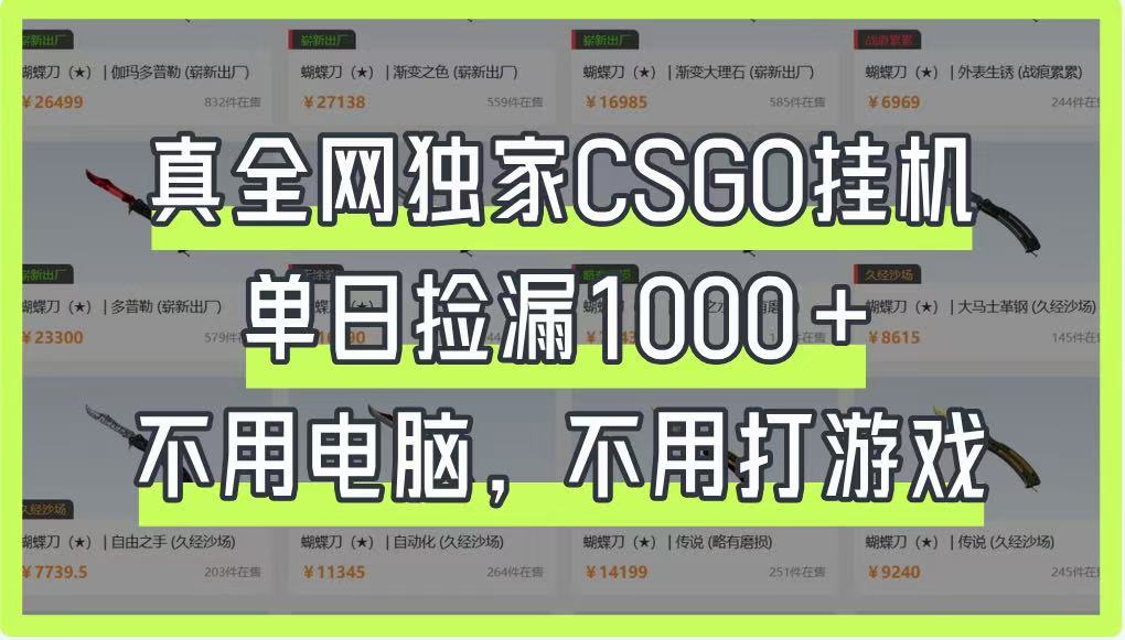真全网独家CSGO挂机，单日捡漏1000+，不用电脑，不用养号-轻金阁