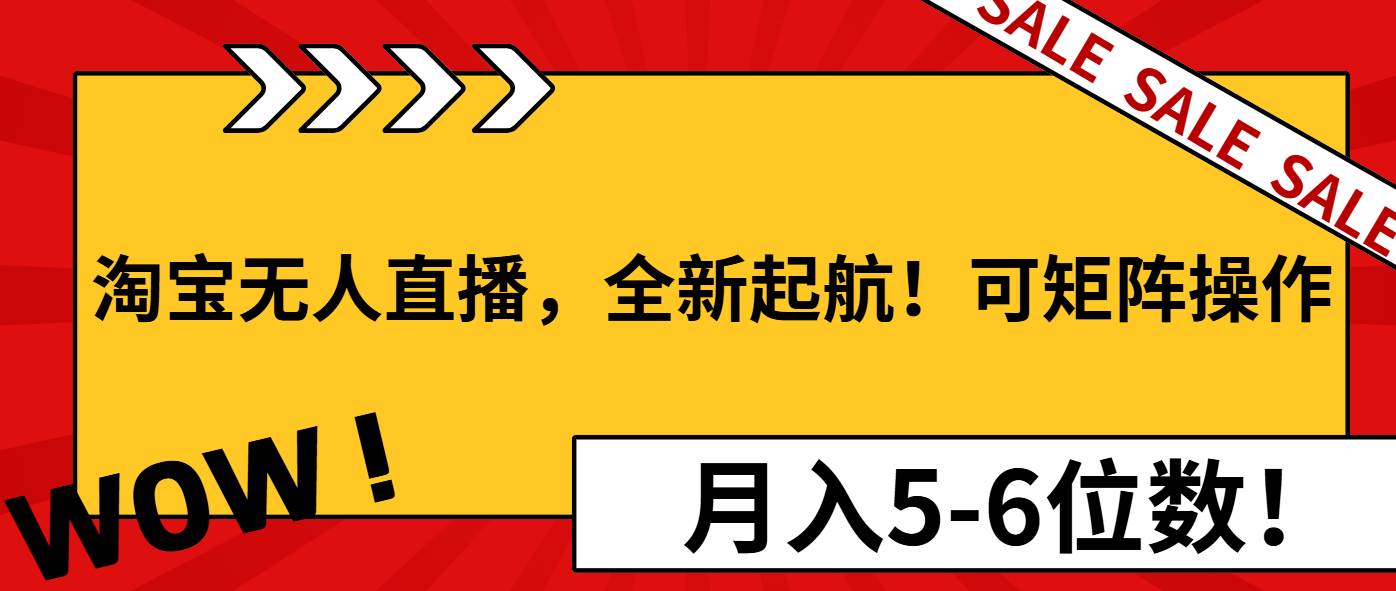 （13946期）淘宝无人直播，全新起航！可矩阵操作，月入5-6位数！-轻金阁