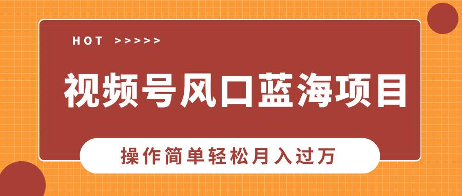 （13945期）视频号风口蓝海项目，中老年人的流量密码，操作简单轻松月入过万-轻金阁