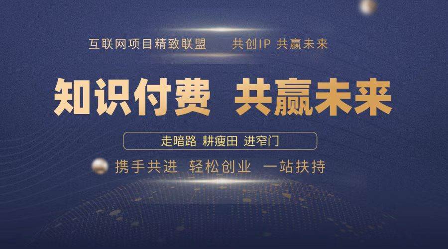 （13944期）2025年 如何通过 “知识付费” 卖项目月入十万、年入百万，布局2025与…-轻金阁