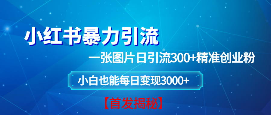 （13935期）小红书暴力引流法，一张图片日引 300+精准创业粉，每日稳定变现 3000+【揭秘】-轻金阁