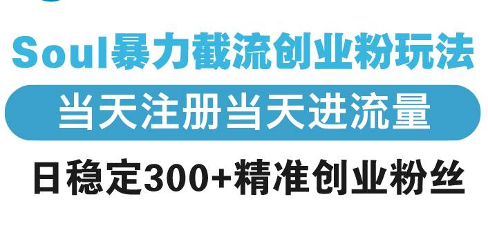 （13935期）Soul暴力截流创业粉玩法，当天注册当天进流量，日稳定300+精准创业粉丝-轻金阁