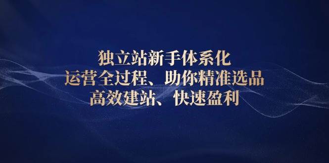 （13914期）独立站新手体系化 运营全过程，助你精准选品、高效建站、快速盈利-轻金阁