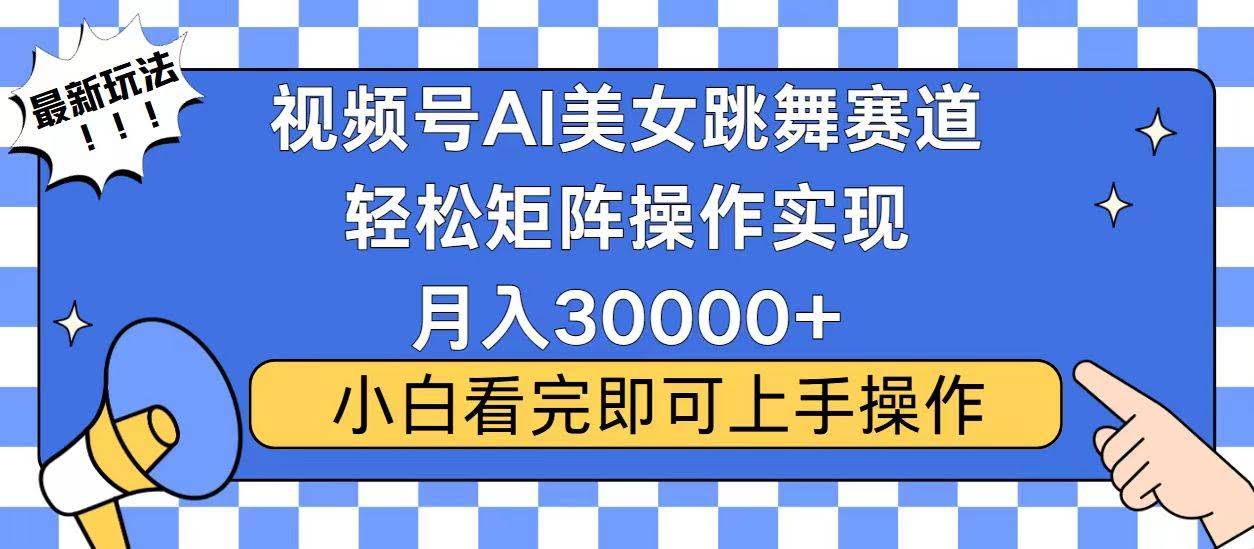 （13813期）视频号蓝海赛道玩法，当天起号，拉爆流量收益，小白也能轻松月入30000+-轻金阁