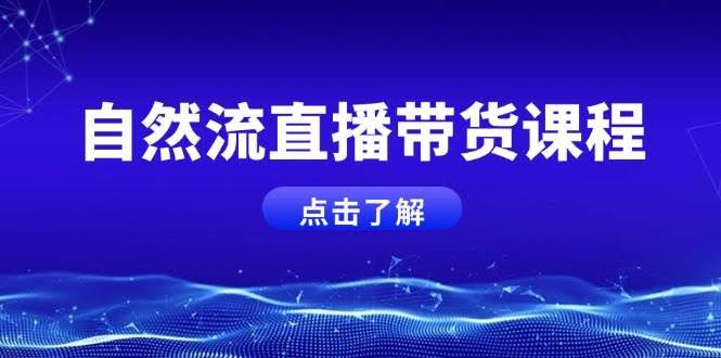 （13809期）自然流直播带货课程，结合微付费起号，打造运营主播，提升个人能力-轻金阁