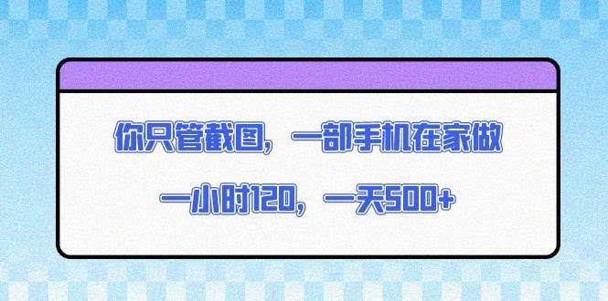 （13785期）你只管截图，一部手机在家做，一小时120，一天500+-轻金阁