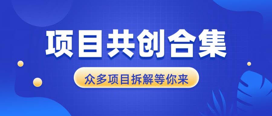 （13778期）项目共创合集，从0-1全过程拆解，让你迅速找到适合自已的项目-轻金阁