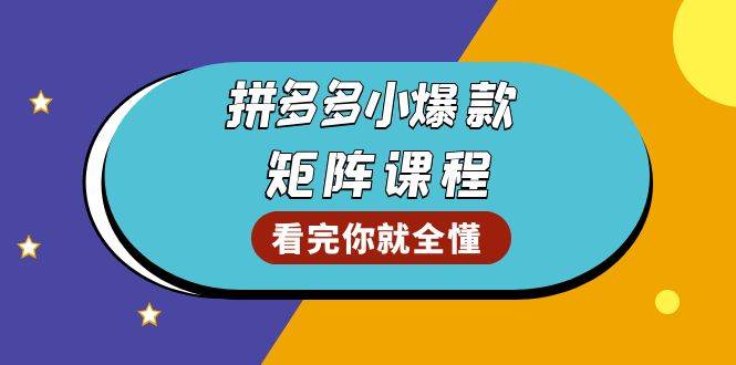 （13699期）拼多多爆款矩阵课程：教你测出店铺爆款，优化销量，提升GMV，打造爆款群-轻金阁
