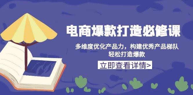 （13689期）电商爆款打造必修课：多维度优化产品力，构建优秀产品梯队，轻松打造爆款-轻金阁