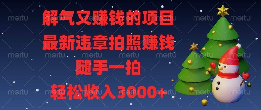 （13686期）解气又赚钱的项目，最新违章拍照赚钱，随手一拍，轻松收入3000+-轻金阁