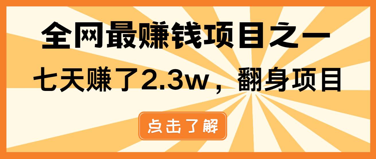 （13674期）小白必学项目，纯手机简单操作收益非常高!年前翻身！-轻金阁