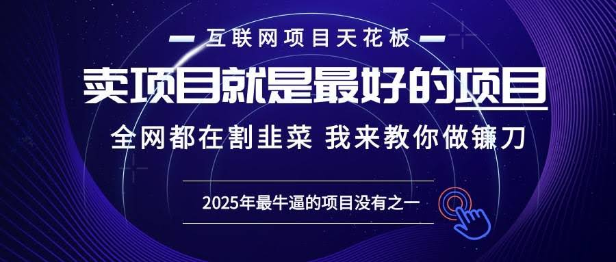 （13662期）2025年普通人如何通过“知识付费”卖项目年入“百万”镰刀训练营超级IP…-轻金阁