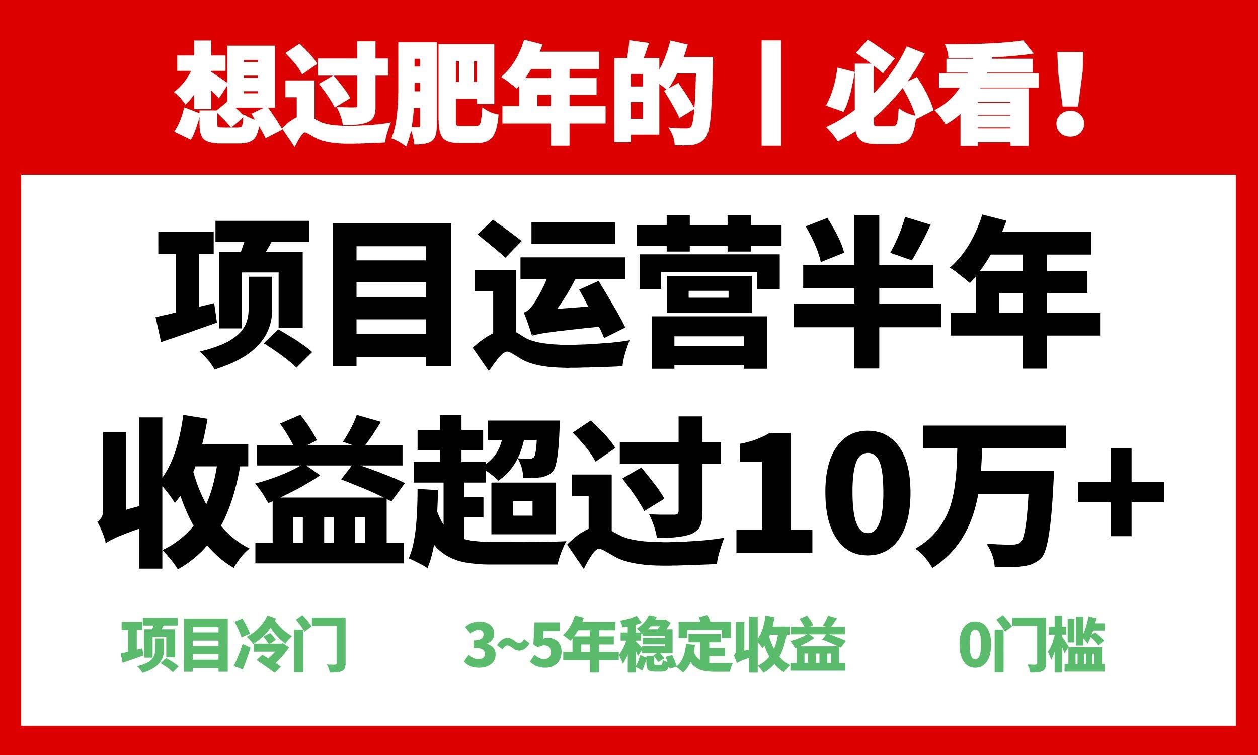 （13663期）年前过肥年的必看的超冷门项目，半年收益超过10万+，-轻金阁