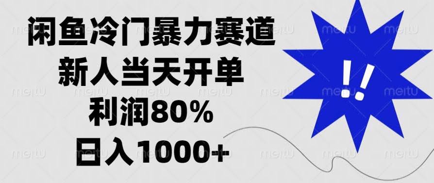 （13660期）闲鱼冷门暴力赛道，新人当天开单，利润80%，日入1000+-轻金阁