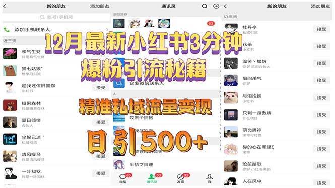 （13653期）12月最新小红书3分钟爆粉引流秘籍 精准私域流量变现 日引500+-轻金阁