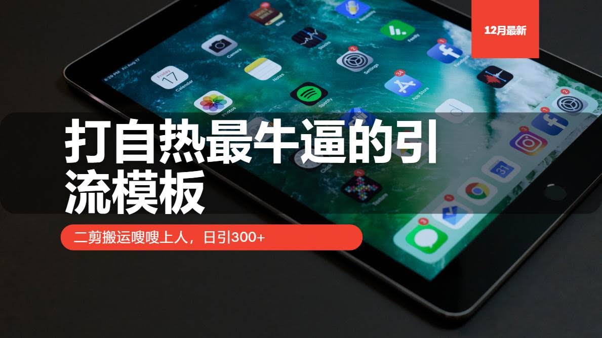 （13654期）打自热最牛逼的引流模板，二剪搬运嗖嗖上人，日引300+-轻金阁