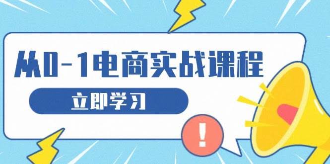 （13594期）从零做电商实战课程，教你如何获取访客、选品布局，搭建基础运营团队-轻金阁
