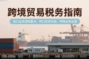 （13588期）谷歌搜索广告课程，带你掌握搜索广告高阶玩法，提升广告效果，降低成本-轻金阁